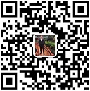 Follow us